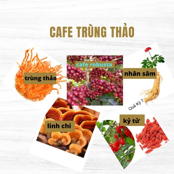 Cà phê trùng thảo (Cordy Cafe No Sugar) - Hình ảnh 2