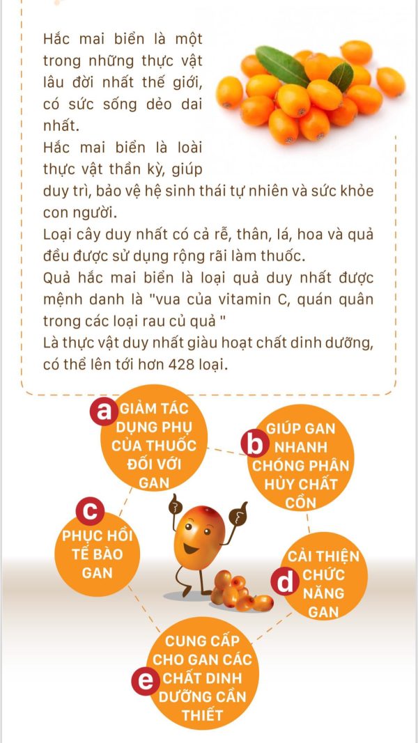 Viên Sea Buckthorn (Hắc mai biển) - Hình ảnh 3