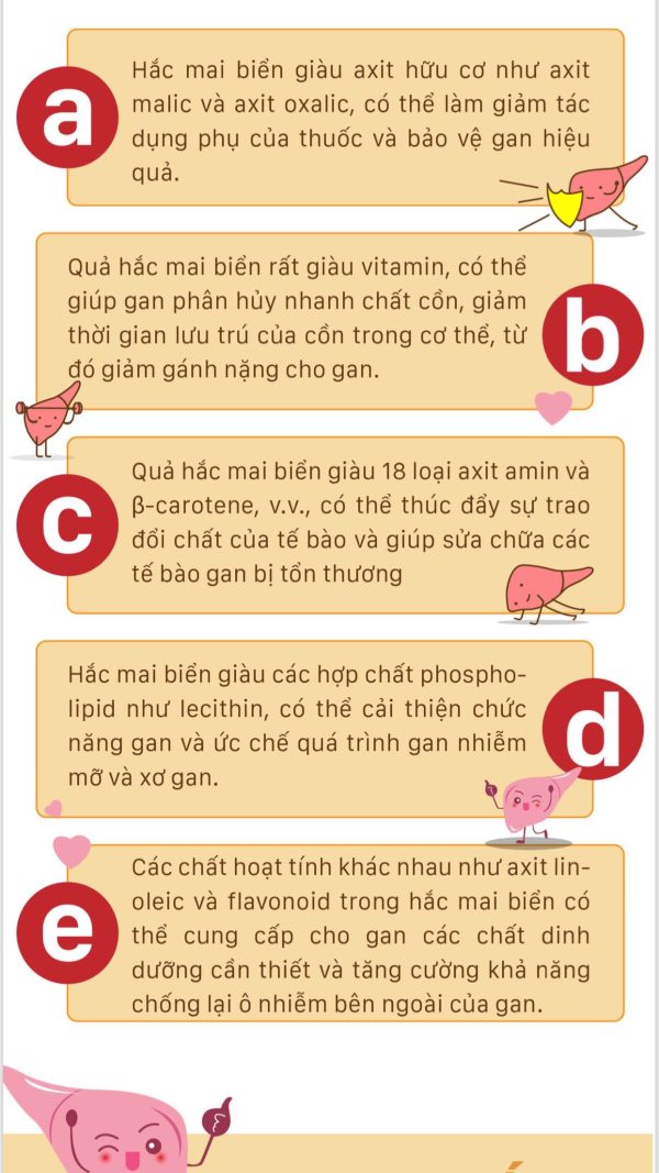 Viên Sea Buckthorn (Hắc mai biển) - Hình ảnh 4