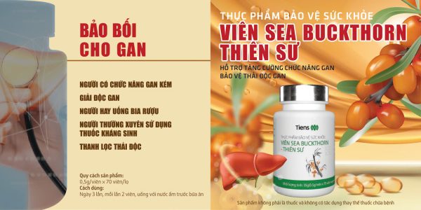Viên Sea Buckthorn (Hắc mai biển) - Hình ảnh 6
